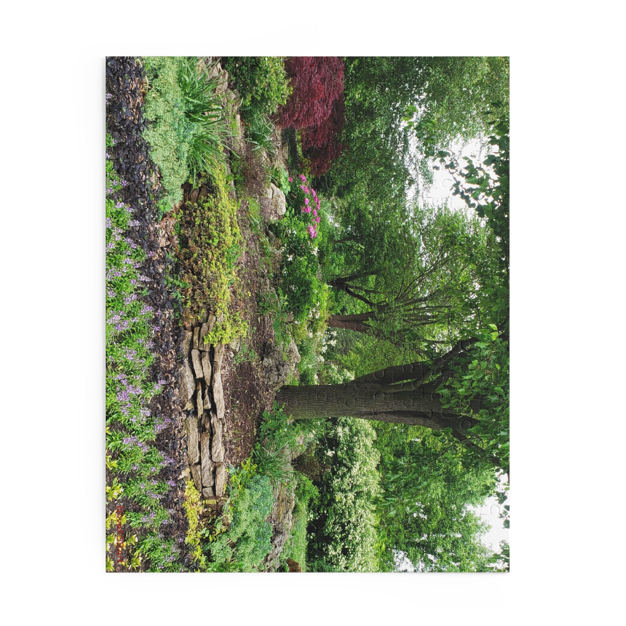 Garden Serenity Puzzle — 120/252/500-Piece Jigsaw of Lush Tree & Stone Garden