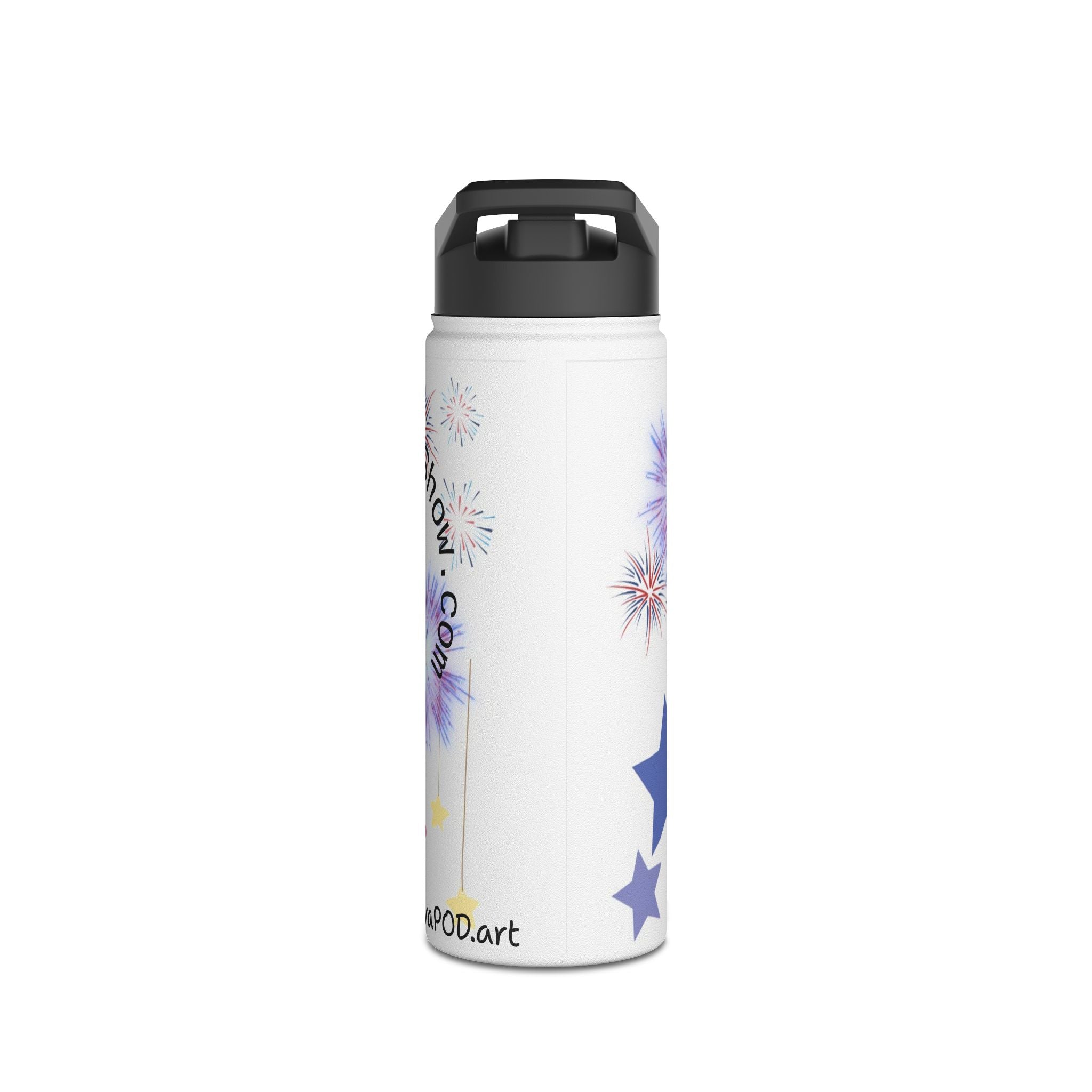 Dilley 300 Stainless Steel Water Bottle, Standard Lid