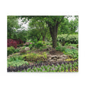 Garden Serenity Puzzle — 120/252/500-Piece Jigsaw of Lush Tree & Stone Garden
