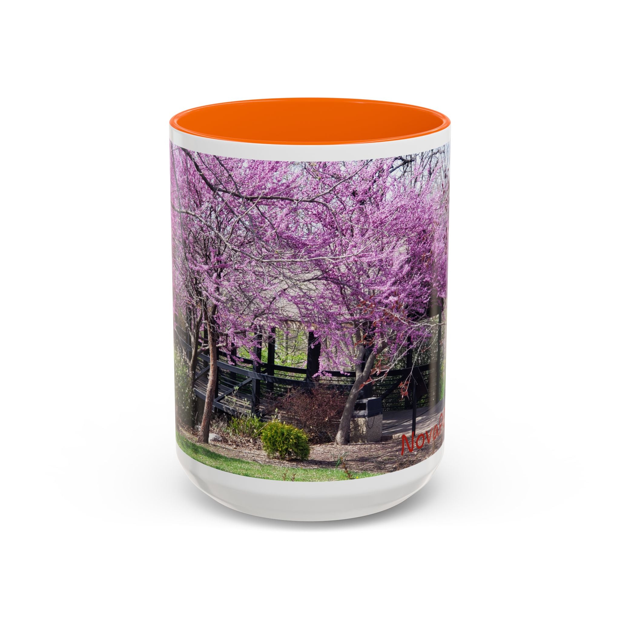 Spring Blossom Accent Coffee Mug – Pink Redbud Trees Photo Design (11/15 oz)
